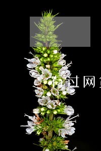 有过网贷逾期能办车贷吗 有过网贷逾期能办车贷吗