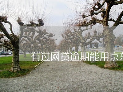 有过网贷逾期能用京东白条吗 有过网贷逾期能用京东白条吗