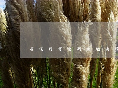有过网贷逾期能跑滴滴么 有过网贷逾期能跑滴滴么