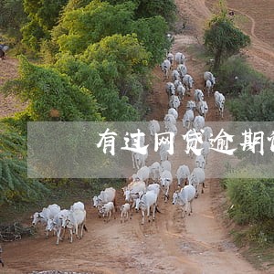 有过网贷逾期记录怎么清除 有过网贷逾期记录怎么清除