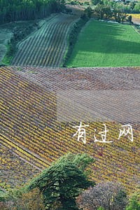 有过网贷逾期还可以办理捷信吗 有过网贷逾期还可以办理捷信吗