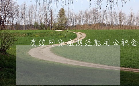 有过网贷逾期还能用公积金买房吗 有过网贷逾期还能用公积金买房吗