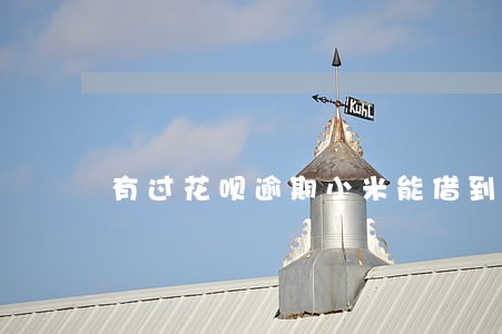 有过花呗逾期小米能借到吗 有过花呗逾期小米能借到吗