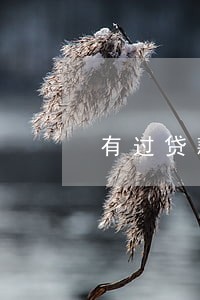 有过贷款逾期可以分期买房吗