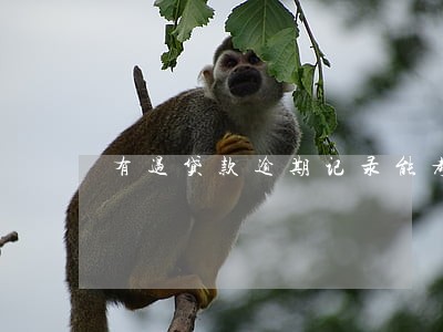 有过贷款逾期记录能考公务员吗 有过贷款逾期记录能考公务员吗