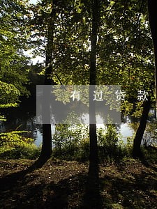 有过贷款逾期还能做担保吗 有过贷款逾期还能做担保吗