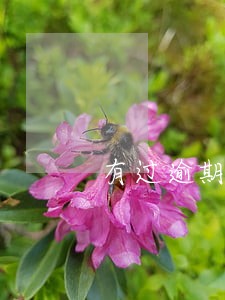 有过逾期三次的会怎么样 有过逾期三次的会怎么样