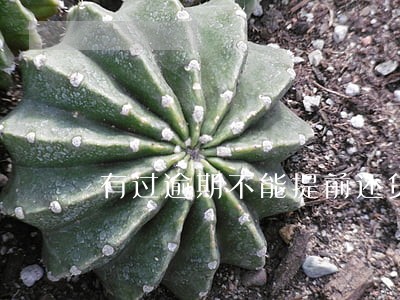 有过逾期不能提前还贷吗 有过逾期不能提前还贷吗