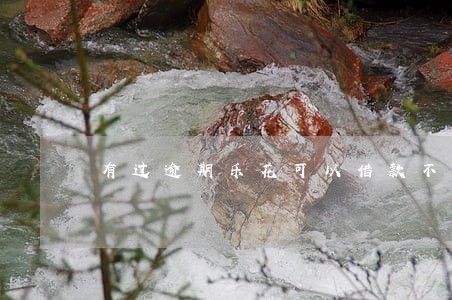 有过逾期乐花可以借款不