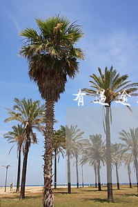 有过逾期买房 有过逾期买房