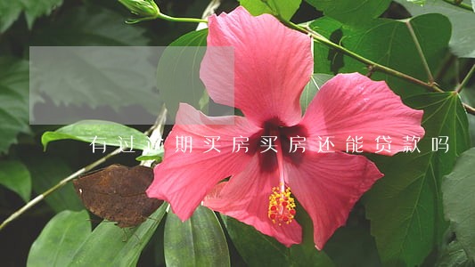 有过逾期买房买房还能贷款吗 有过逾期买房买房还能贷款吗