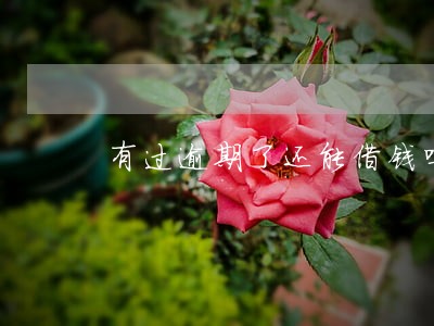 有过逾期了还能借钱吗 有过逾期了还能借钱吗