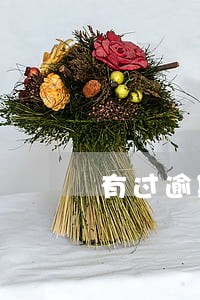有过逾期什么平台可以借款靠谱 有过逾期什么平台可以借款靠谱