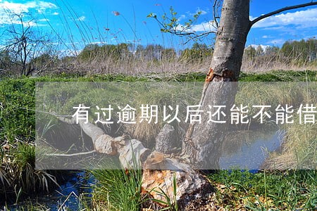 有过逾期以后还能不能借钱 有过逾期以后还能不能借钱