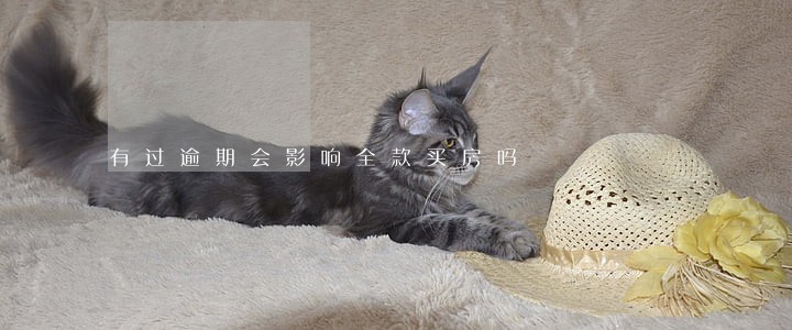 有过逾期会影响全款买房吗 有过逾期会影响全款买房吗