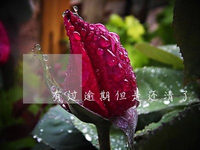 有过逾期但是还清了 有过逾期但是还清了
