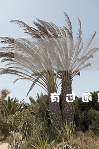 有过逾期信用卡到期 有过逾期信用卡到期
