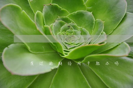 有过逾期信用卡能办吗 有过逾期信用卡能办吗