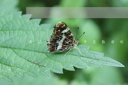 有过逾期信用卡还能用吗 有过逾期信用卡还能用吗