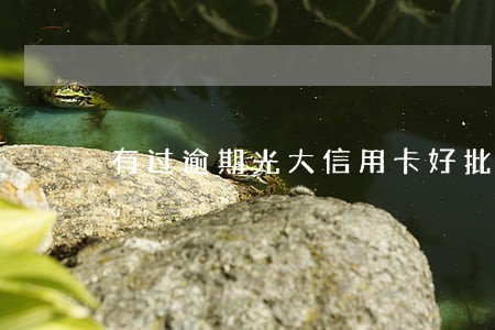有过逾期光大信用卡好批吗 有过逾期光大信用卡好批吗