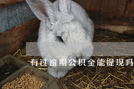 有过逾期公积金能提现吗