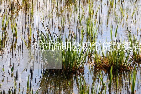 有过逾期公积金贷款买房吗 有过逾期公积金贷款买房吗