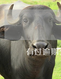 有过逾期分期买车能买不能 有过逾期分期买车能买不能