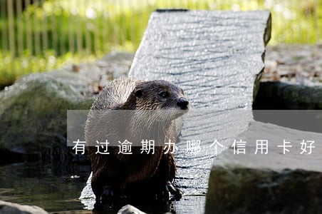 有过逾期办哪个信用卡好过 有过逾期办哪个信用卡好过