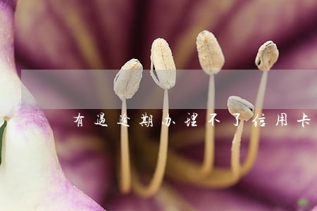 有过逾期办理不了信用卡 有过逾期办理不了信用卡