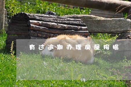 有过逾期办理房屋按揭 有过逾期办理房屋按揭