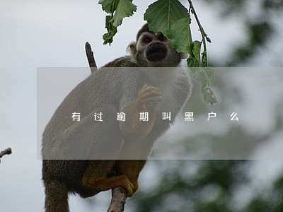 有过逾期叫黑户么 有过逾期叫黑户么