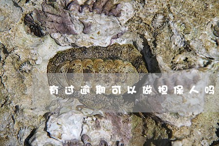 有过逾期可以做担保人吗 有过逾期可以做担保人吗