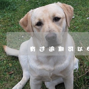 有过逾期可以申请信用卡吗 有过逾期可以申请信用卡吗