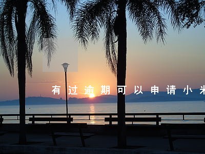 有过逾期可以申请小米贷款吗 有过逾期可以申请小米贷款吗