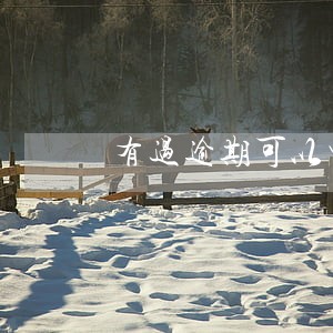 有过逾期可以申请小鱼福卡嘛