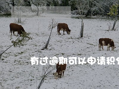 有过逾期可以申请积分入户吗 有过逾期可以申请积分入户吗