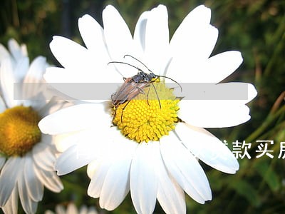 有过逾期可以贷款买房子嘛 有过逾期可以贷款买房子嘛
