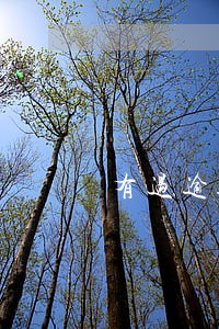 有过逾期可以贷款买车吗 有过逾期可以贷款买车吗