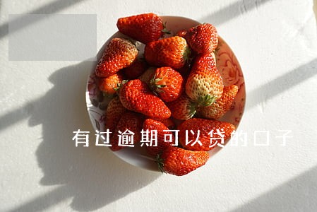 有过逾期可以贷的口子 有过逾期可以贷的口子