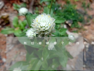有过逾期哪个行的信用卡好申请 有过逾期哪个行的信用卡好申请
