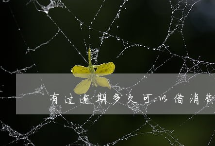 有过逾期多久可以借消费贷 有过逾期多久可以借消费贷