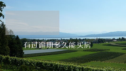 有过逾期多久能买房 有过逾期多久能买房