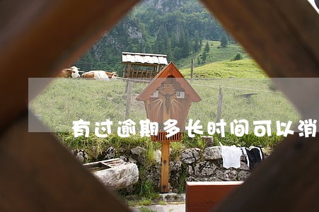 有过逾期多长时间可以消除 有过逾期多长时间可以消除