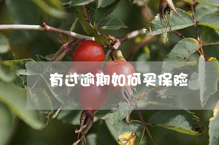 有过逾期如何买保险 有过逾期如何买保险
