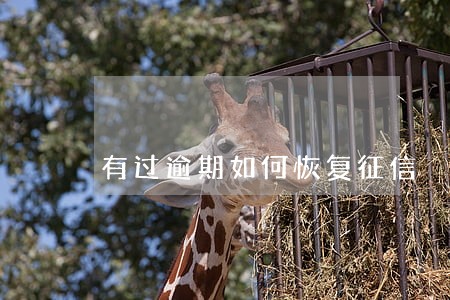 有过逾期如何恢复征信 有过逾期如何恢复征信