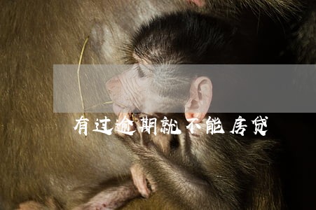 有过逾期就不能房贷 有过逾期就不能房贷
