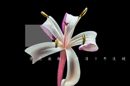有过逾期已还清十年没销卡 有过逾期已还清十年没销卡
