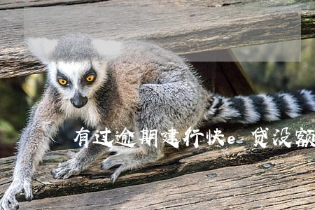 有过逾期建行快e贷没额度 有过逾期建行快e贷没额度