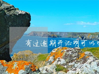 有过逾期开证明可以吗