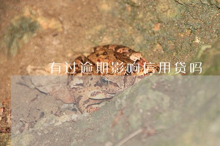 有过逾期影响信用贷吗 有过逾期影响信用贷吗